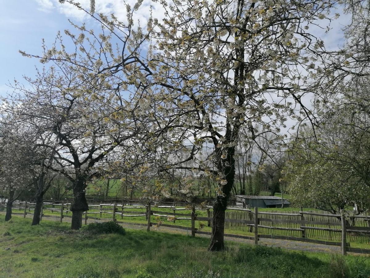 Les Petites Rives De La Motte Villa Pleugueneuc Bagian luar foto