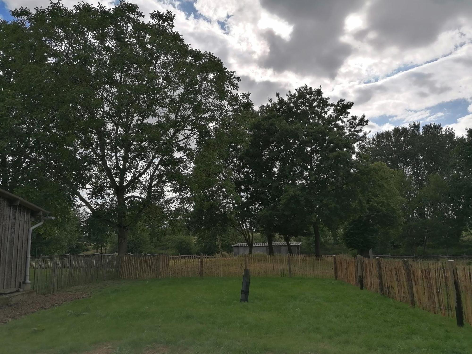 Les Petites Rives De La Motte Villa Pleugueneuc Bagian luar foto